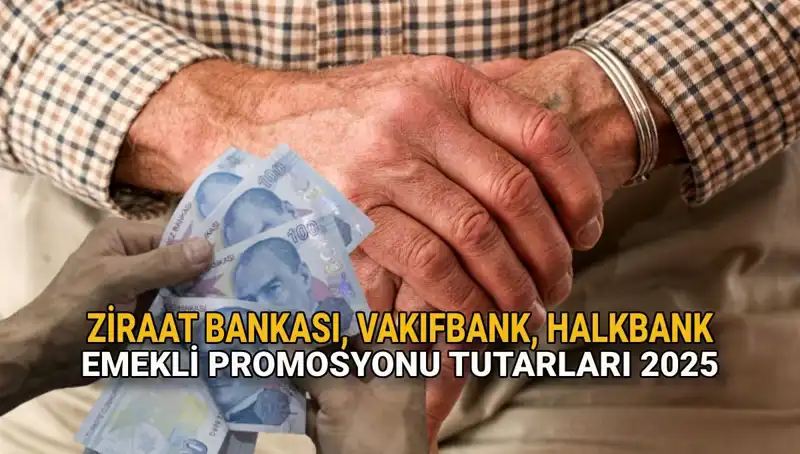 Emeklilere Özel Promosyonlar: 2025'te Kamu Bankaları Neler Sunuyor?