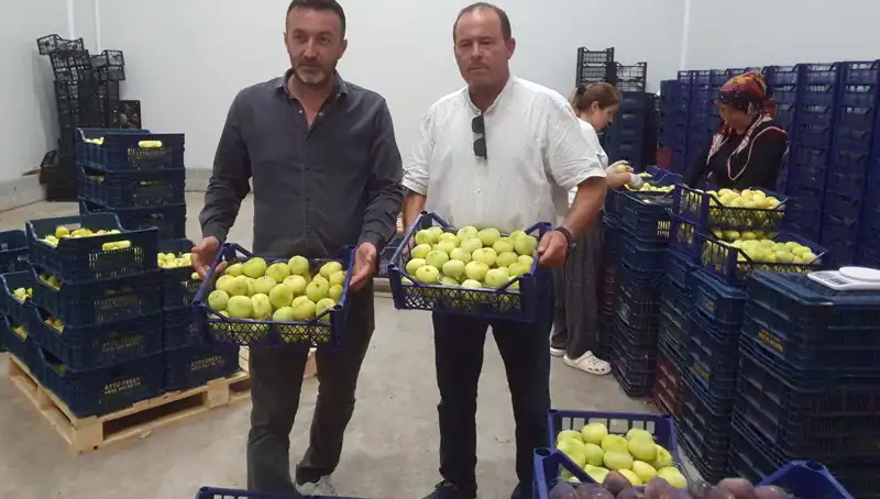 Mersinli Çiftçilerin Yüzünü Güldüren Tarım Ürünü İhracı