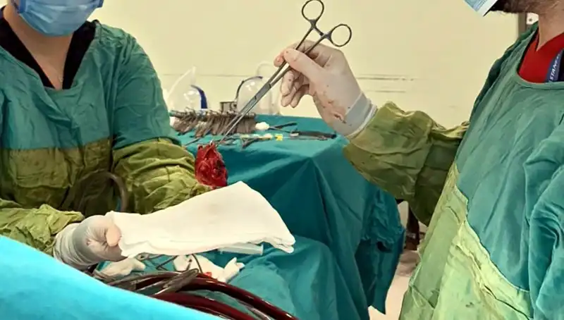 Kalp Kapağı Çürümüş: 7 Saatlik Ameliyatla Hayata Tutunan Hasta