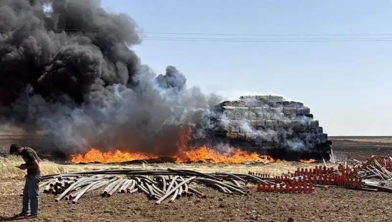 Mardin'de Kontrol Altına Alınan Büyük Anız Yangını: Son Durum Nedir?